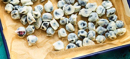 Frozen yoghurt-coated blueberries