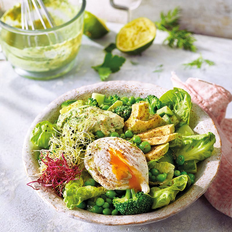 Grüner Salat mit Avocado, Ei & Sprossen
