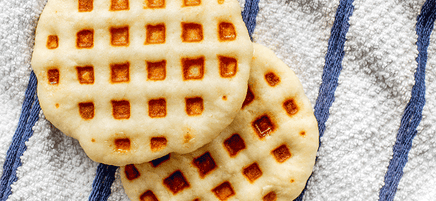 2 ingredient waffle maker flatbreads