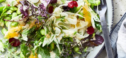Salade d’edamame au fenouil et à l’orange