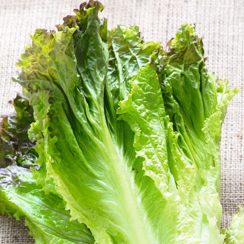 Foto van Andijviesalade met bacon door WW