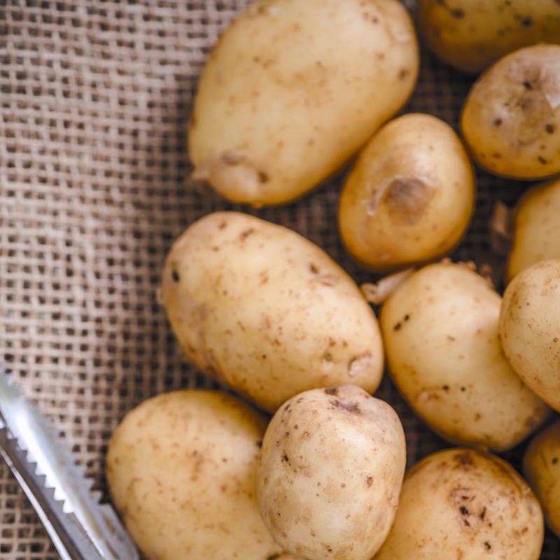 Foto van Lauwe salade van krieltjes, sperziebonen en olijven door WW