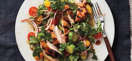 Grilled chicken with cucumber and herb salad