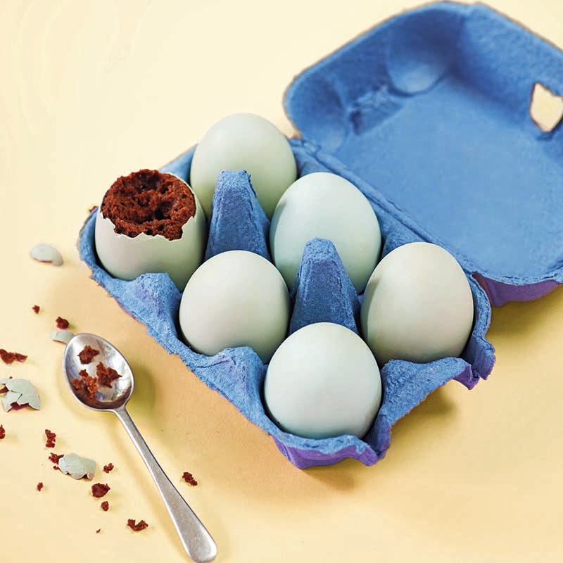 ViktVäktarna - Chokladkaka i äggskalChokladkaka i äggskal