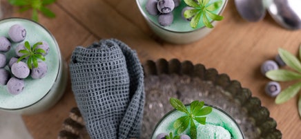 Götterquark Waldmeister