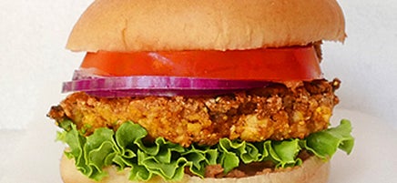 Tex-Mex tofu burgers